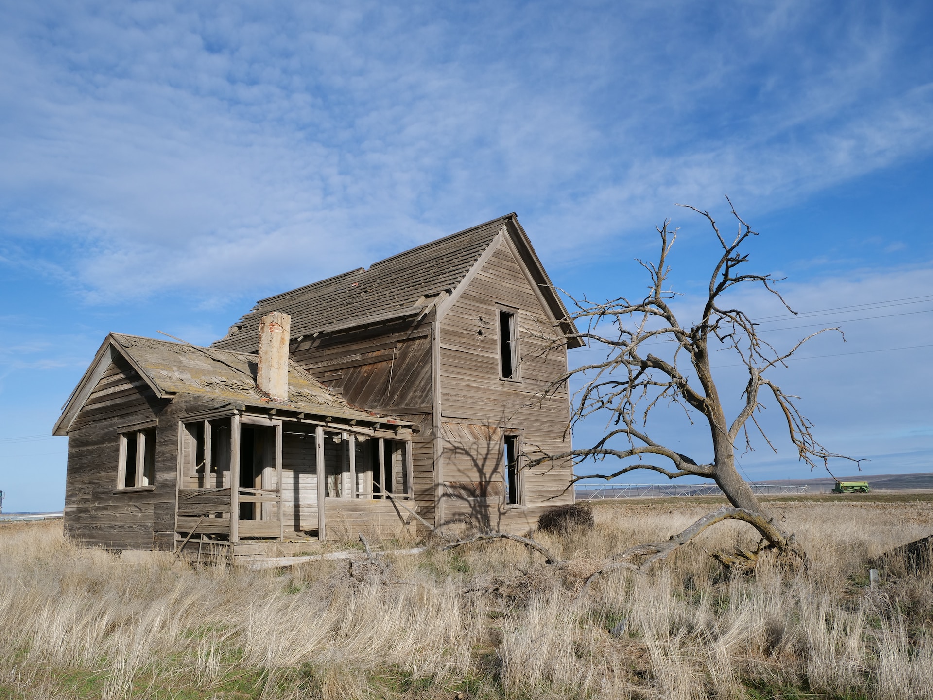 Abandoned farmland being restored