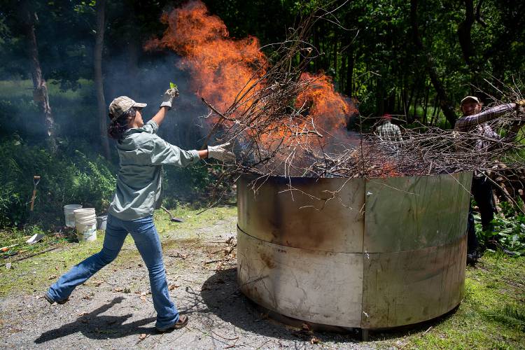 Biochar kiln