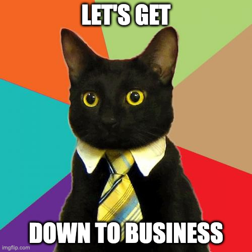 business cat