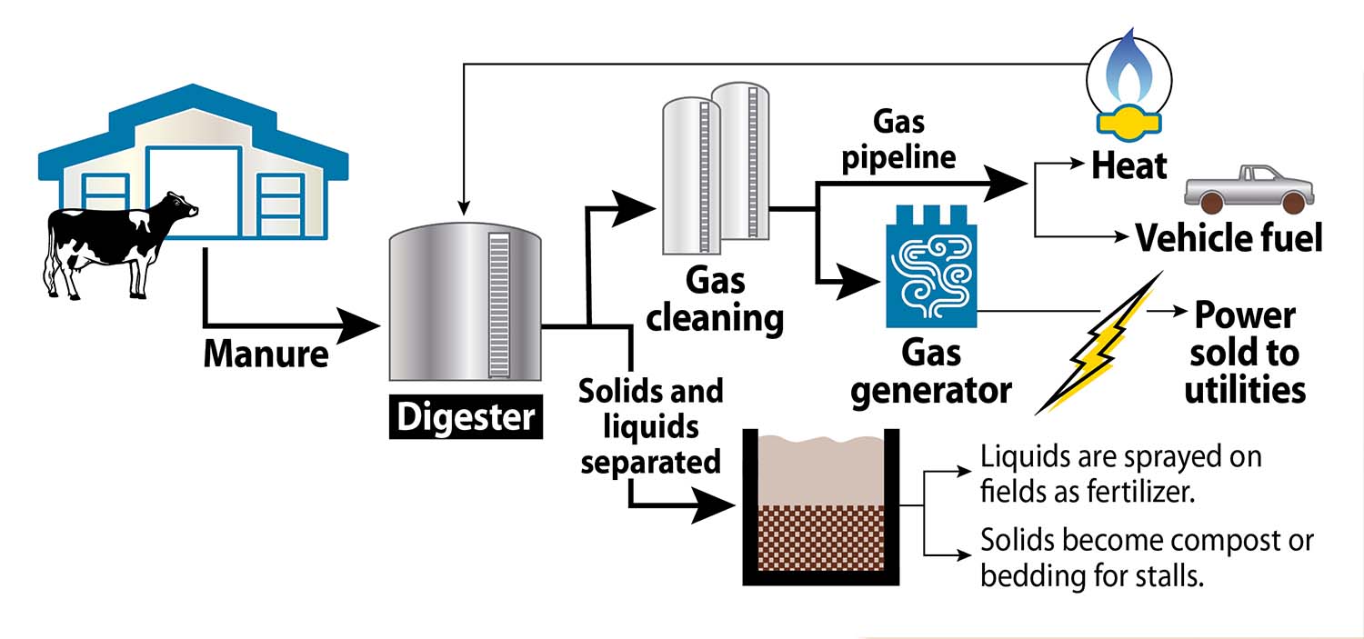 Methane Digester Process