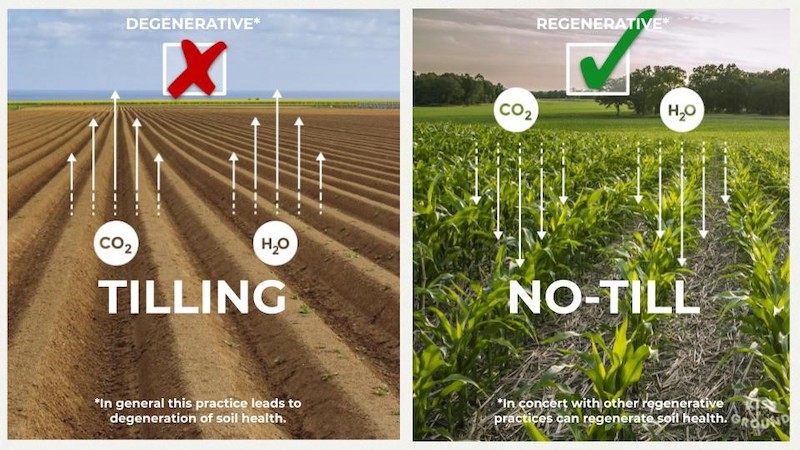 Regenerative agriculture enhances ecosystem function, maximizing water absorption, photosynthesis, and carbon sequestration.