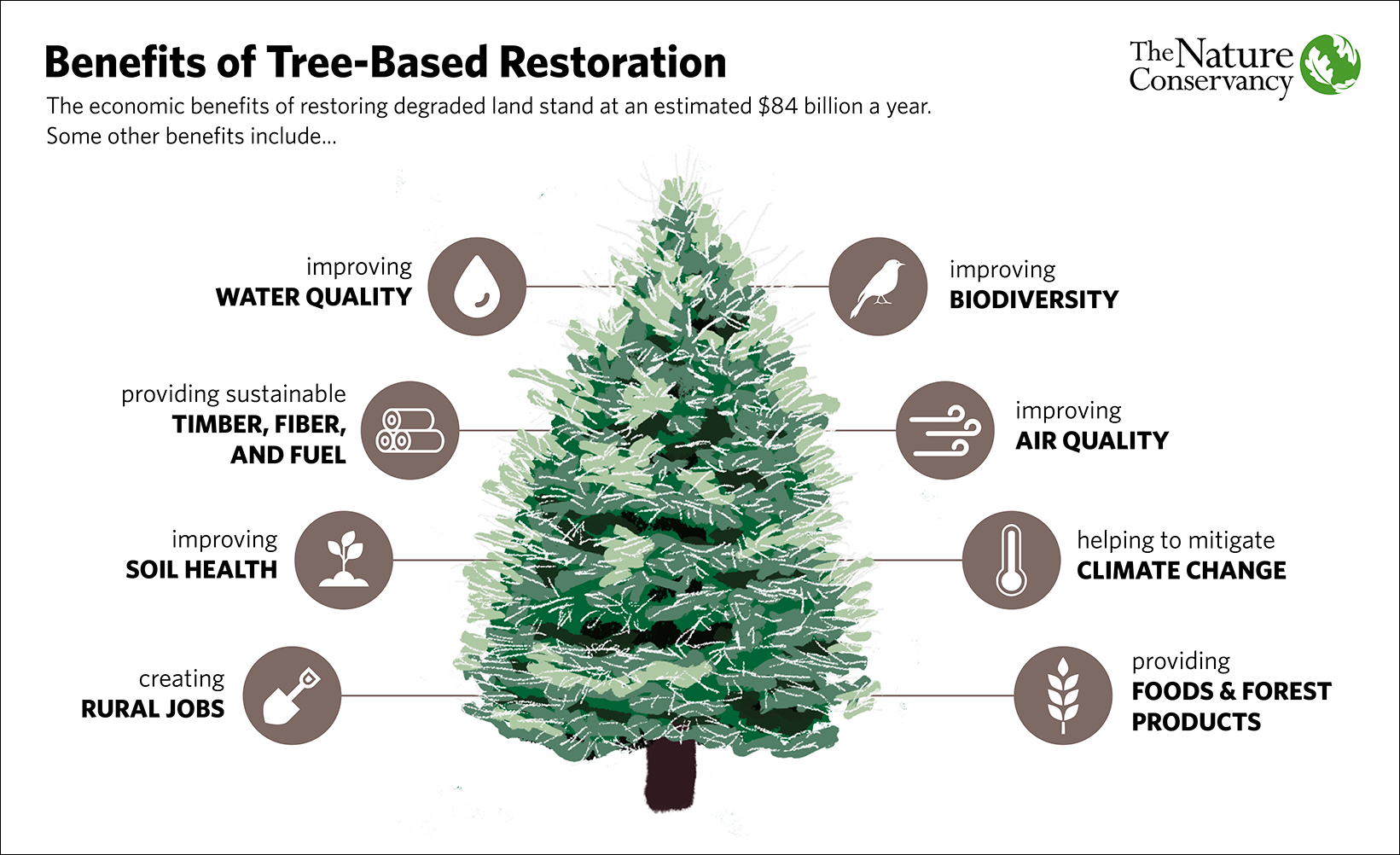 Benefits of tree-based restoration