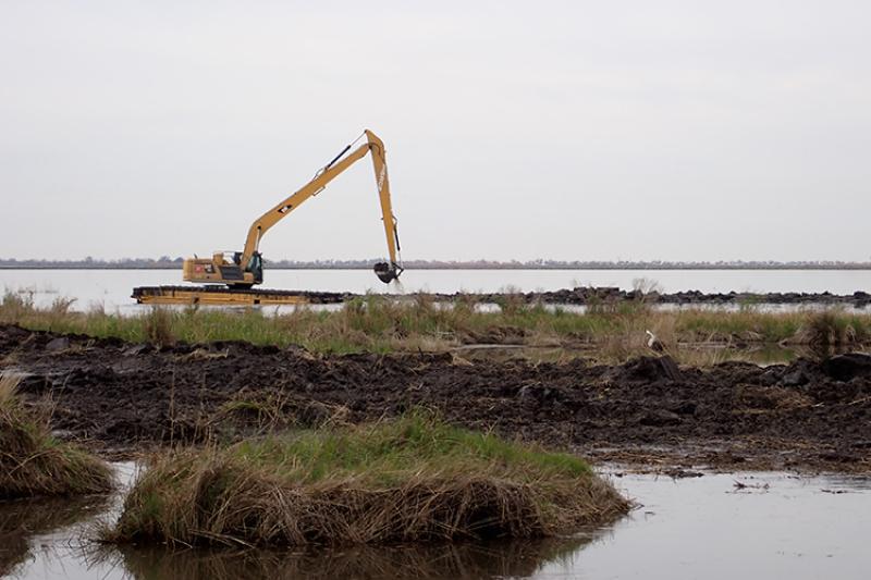 Coastal Wetland Restoration