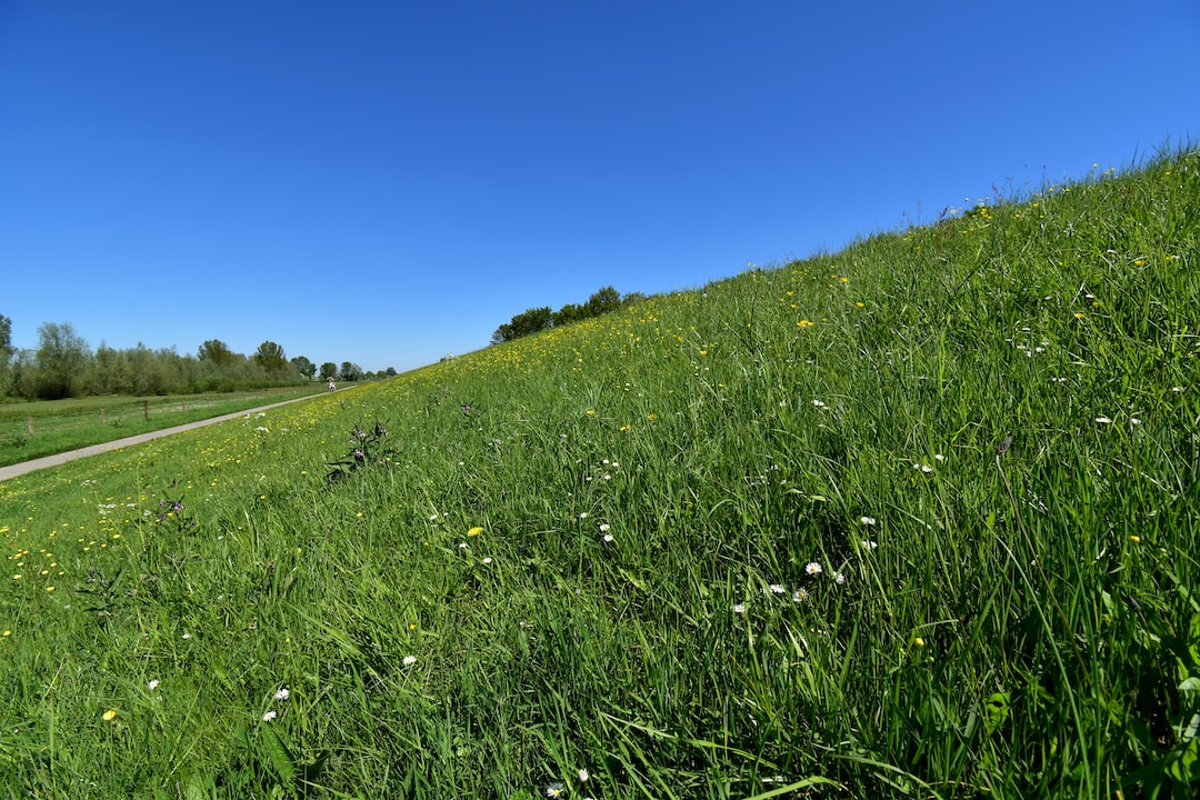 Grassland Protection